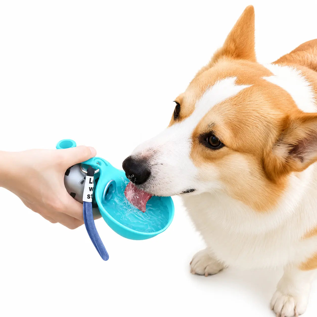 Premium Durable and Spill-Resistant Dog Water Dispenser – Ideal Hydration Solution for Active Pets