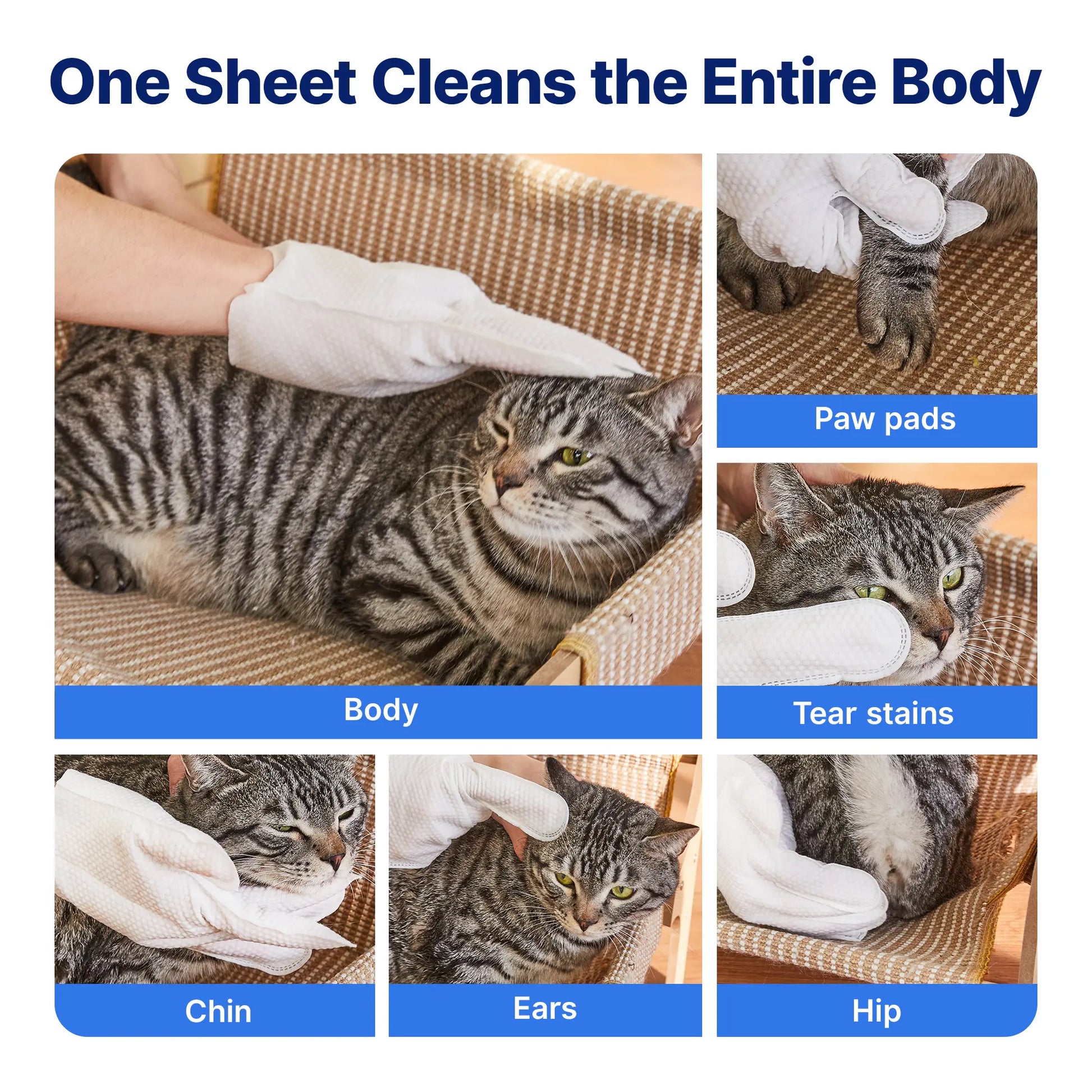 Pawfirst 12-Pack Hypoallergenic Pet Cleaning Gloves – Gentle No Rinse Grooming Wipes for Effortless Paw, Face, Ear, and Body Care